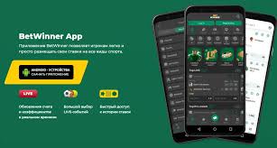 Download the BetWinner App for Seamless Betting Experience