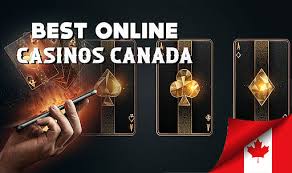Top Casino Websites Your Guide to Online Gaming Top Casino Websites Your Guide to Online Gaming