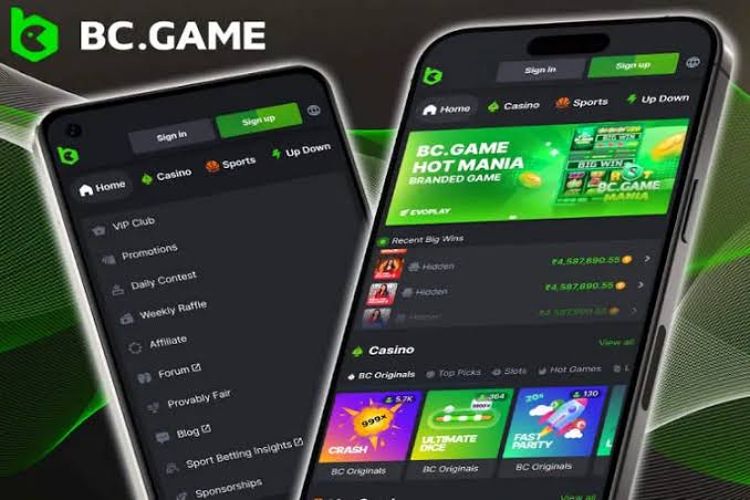 Understanding the BC.Game Login Process A Comprehensive Guide Understanding the BC.Game Login Process A Comprehensive Guide